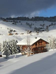 Hebergement Chalet L'Outarde : photos des chambres