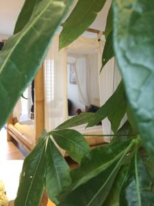 Hebergement L'Hotie de Broceliande : photos des chambres