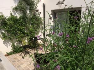 Chambres d'hotes/B&B Versailles : photos des chambres