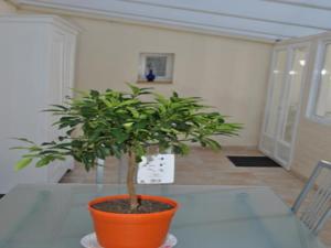 Hebergement House Au bon accueil : photos des chambres