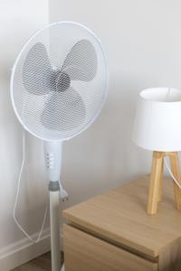 Appartement Alery : photos des chambres