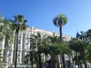 Appartement Mozart : photos des chambres