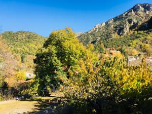 Hotel La Mirabelle-casteil : photos des chambres