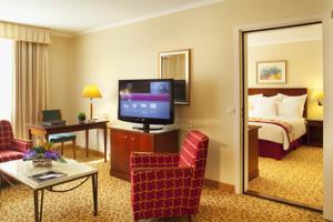 Paris Marriott Charles de Gaulle Airport Hotel : Suite Lit King-Size