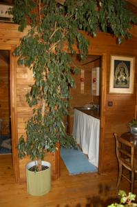 Hebergement Chalet de la Fressine : photos des chambres