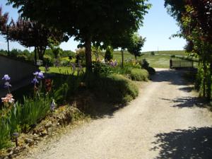 Hebergement Borde Blanche : photos des chambres