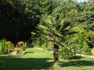 Hebergement Borde Blanche : photos des chambres