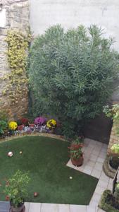 Hebergement vacances en petite camargue : photos des chambres