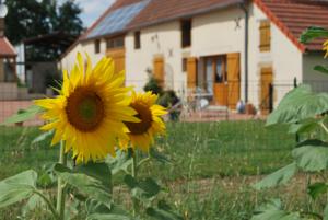 Hebergement Gite La Ferranderie : photos des chambres