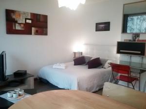 Appartement Le Studio Victoria : photos des chambres