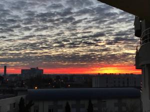 Appartement Beau Studio : photos des chambres