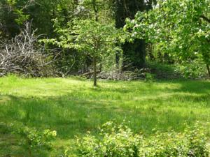 Hebergement Le Moulin : photos des chambres