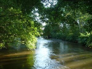 Hebergement Le Moulin : photos des chambres