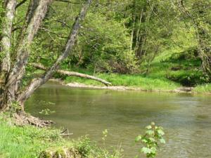 Hebergement Le Moulin : photos des chambres