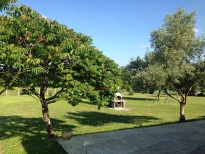 Hebergement maison de vacances : photos des chambres