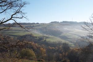 Hebergement Gites Le Chene & Le Tilleul : photos des chambres