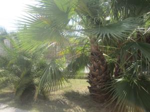Hebergement Villa Lauralie : photos des chambres
