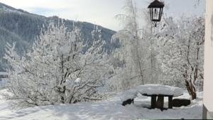 Hebergement Chalet Rose : photos des chambres