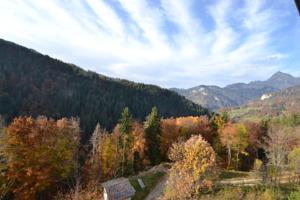 Appartement Residence Les Balcons du Charvin : photos des chambres