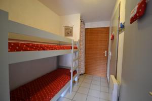 Appartement Residence Les Balcons du Charvin : Studio