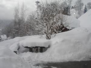 Hebergement Chalet Rose : photos des chambres