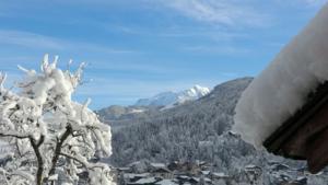 Hebergement Chalet Rose : photos des chambres