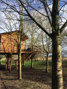 Hebergement La Cabane des Marees : photos des chambres