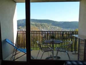 Appartement Studio les bleuets : photos des chambres