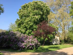 Hebergement Domaine de Guichy : photos des chambres