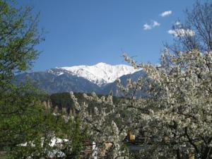 Appartement Fuilla Holiday Rental : photos des chambres