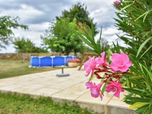 Hebergement Maison De Vacances - Thedirac 1 : photos des chambres