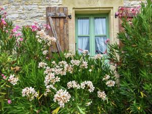 Hebergement Maison De Vacances - Thedirac 1 : photos des chambres