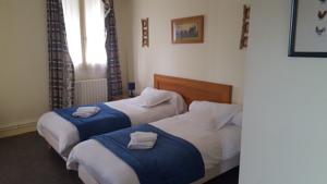 Hotel Les 3 Pigeons : Chambre Lits Jumeaux
