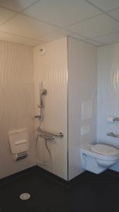 Hotel ibis Styles Romans-Valence Gare TGV : Chambre Standard avec 1 Lit Double - Petit-Déjeuner Inclus