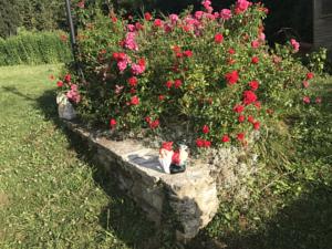 Hebergement La Source : photos des chambres