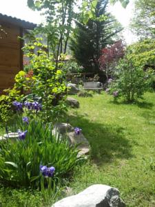 Hebergement Les chalets Quazemi : photos des chambres