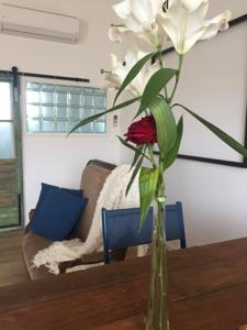 Appartement Mas Roubel : photos des chambres