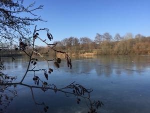 Hebergement Domaine de Guichy : photos des chambres