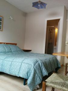 Hotel Aiguille : Chambre Double Standard
