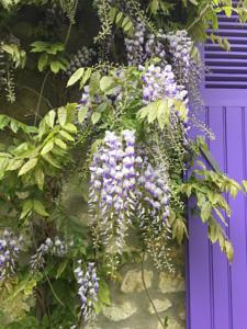 Chambres d'hotes/B&B Villa Boreas : photos des chambres
