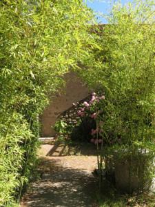 Hebergement Cap Neoulous : photos des chambres