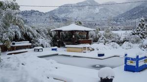 Chambres d'hotes/B&B Les Bambous B&B : photos des chambres
