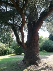 Hebergement Le manoir Dordogne : photos des chambres