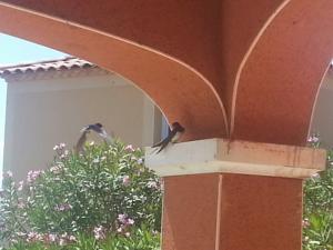 Hebergement Villa les garrigues : photos des chambres