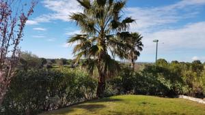 Hebergement Villa les garrigues : photos des chambres