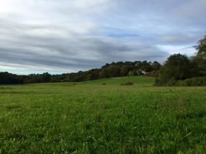 Hebergement Villa Settimo : photos des chambres