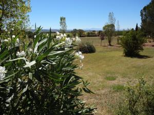 Hebergement Majorelle : photos des chambres
