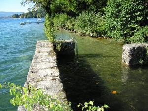 Hebergement Pieds dans l'eau : La Tour de Veyrier du lac : Villa