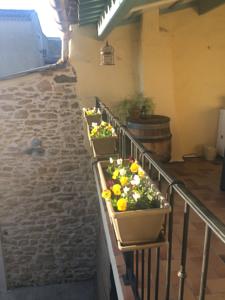 Chambres d'hotes/B&B La Cour du Rhone : photos des chambres