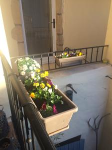 Chambres d'hotes/B&B La Cour du Rhone : photos des chambres